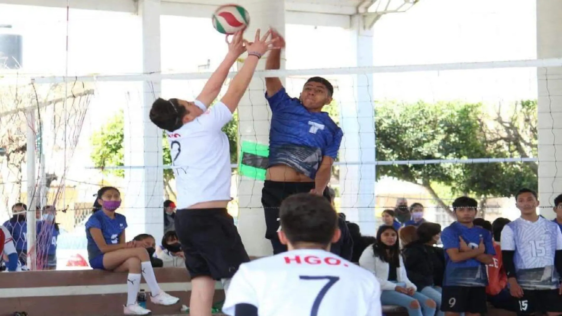 VOLEIBOL (3)